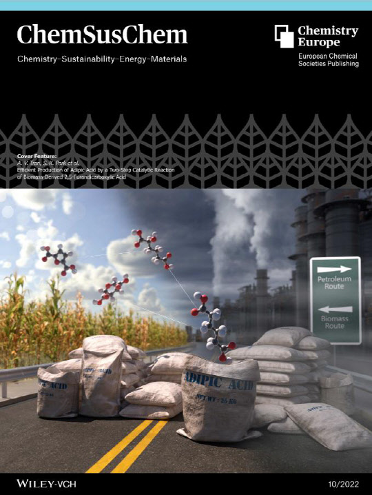 한국생산기술연구원은 친환경 플라스틱 소재로 활용할 수 있는 나일론 섬유 단량체인 '아디프산'을 바이오매스에서 99% 수율로 제조할 수 있는 촉매기술을 개발했다.  생기원 제공